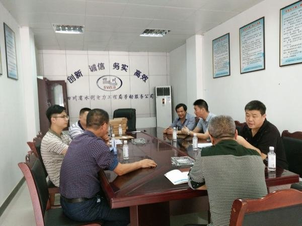 楊澤林、袁斌率隊(duì)檢查資陽(yáng)片區(qū)安全工作