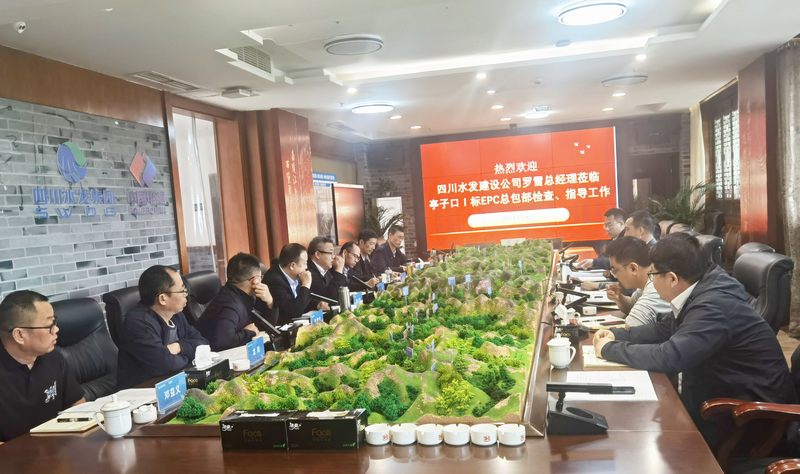 公司總經(jīng)理羅雪率隊赴亭子口項目開展汛前安全檢查