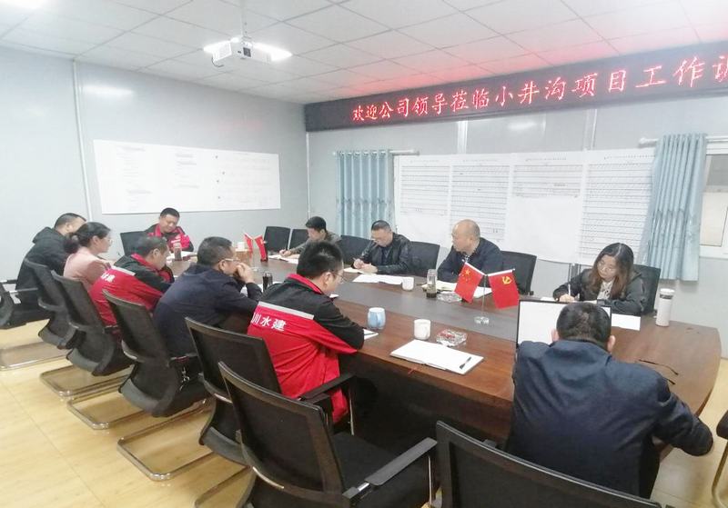 公司黨委書記、董事長代勇一行到小井溝支渠工程項目開展工作調研